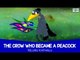 The Crow Who Became a Peacock - Telugu Kathalu | Moral Stories For Kids In Telugu