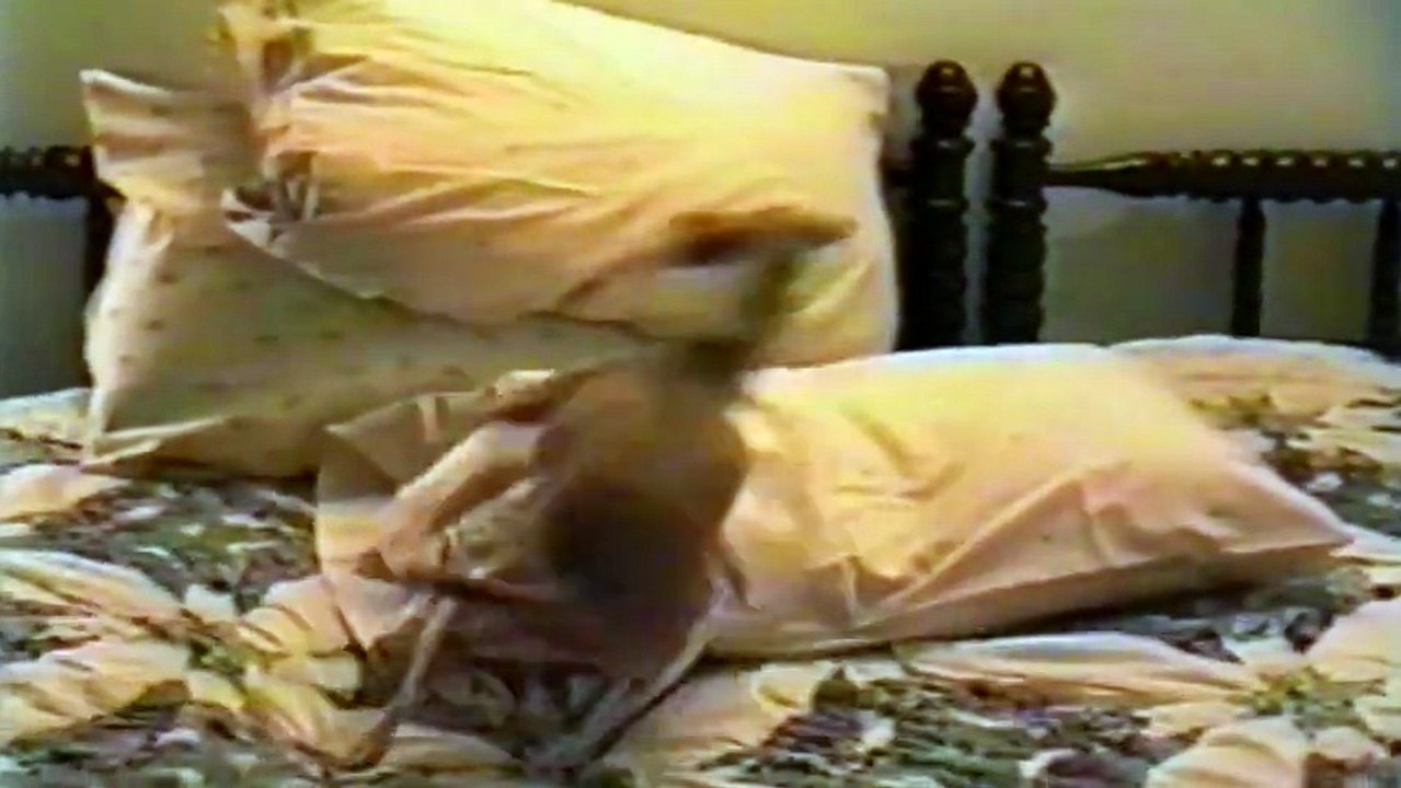 La maman découvre le papa en train de faire dodo avec les 2 bébés mais gardez un oeil sur le chien!