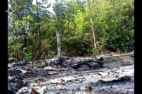 Best bird trap[أفضل فخ الطيور] - How setting trap for bird used gluten trap