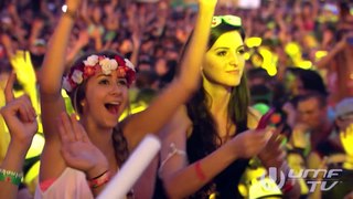 Hardwell live at Ultra Music Festival 2013 - FULL HD Broadcast by UMF.TV_73