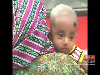 কাজে আসছে না রাজধানীকে সবুজায়নের নানা উদ্যোগ