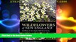 Big Sales  Wildflowers of New England: Timber Press Field Guide (A Timber Press Field Guide)