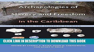 Read Now Archaeologies of Slavery and Freedom in the Caribbean: Exploring the Spaces in Between