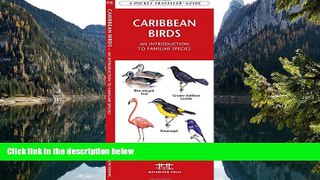 Best Deals Ebook  Caribbean Birds: A Folding Pocket Guide to Familiar Species (Pocket Naturalist