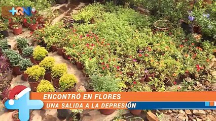 +QN  08 Noviembre 2016