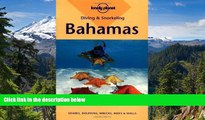 Must Have  Lonely Planet Diving   Snorkeling Bahamas (Diving and Snorkeling Guides)  Buy Now