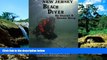 Ebook Best Deals  New Jersey Beach Diver, The Diver s Guide to New Jersey Beach Diving Sites  Buy