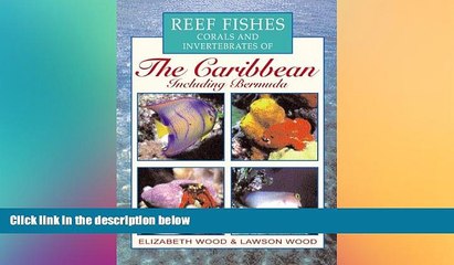 Download Video: Must Have  Reef Fishes Corals and Invertebrates of the Caribbean : A Diver s Guide  Full Ebook