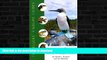 FAVORITE BOOK  Travellers  Wildlife Guides Ecuador and the Galapagos Islands FULL ONLINE