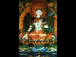 The Philosophy of Vegan Values