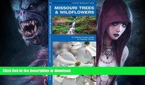 READ BOOK  Missouri Trees   Wildflowers: A Folding Pocket Guide to Familiar Species (Pocket