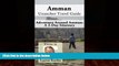 Best Buy Deals  Amman Unanchor Travel Guide - Adventure Around Amman: A 2-Day Itinerary  Full