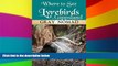Ebook Best Deals  Lyrebirds in Gippsland: Where to See (Travel Australia Book 4)  Full Ebook
