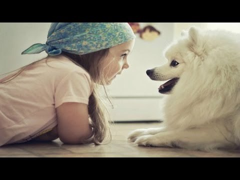 Babies and pets having fun together - Funny and cute baby & animal compilation