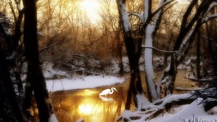 New Background Nasheed By Oussama Al Salman | Without Music | اهات جديدة - اسامة السلمان