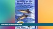 Ebook Best Deals  Wildlife of the North Atlantic: A Cruising Guide (Bradt Travel Guide Wildlife of