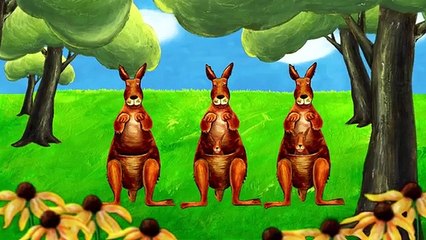 Learning ABC - K is for Kite & Kangaroo - Lower Case Alphabet k