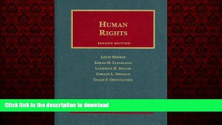 liberty book  Human Rights (University Casebook Series) online to buy