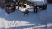 Skier Nearly Misses Dog || Skier Takes One for the Pup