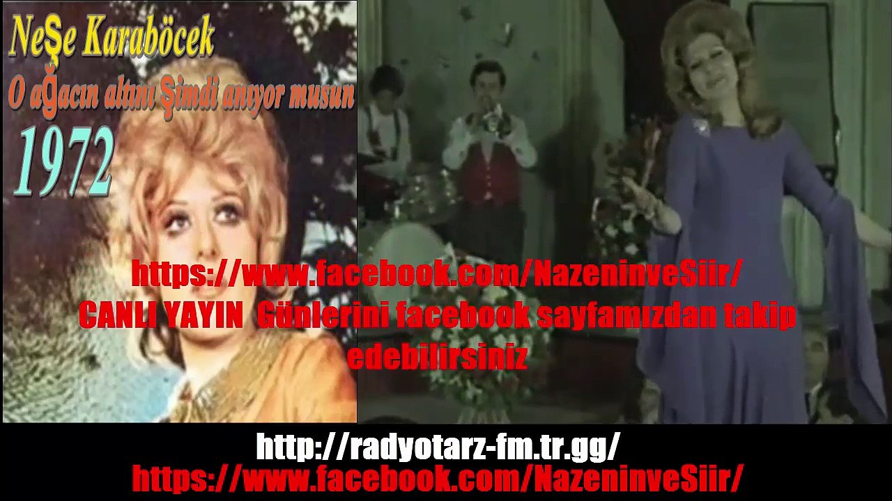 NEŞE KARABÖCEK  O ağacın altını şimdi anıyor musun  1972