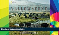 Must Have  Yellowstone: A Journey Through America s Wild Heart  Buy Now