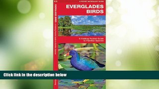 Buy NOW  Everglades Birds: A Folding Pocket Guide to Familiar Species (Pocket Naturalist Guide