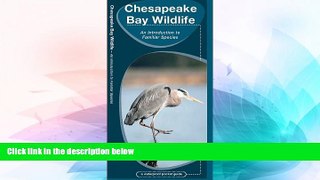 Must Have  Chesapeake Bay Wildlife (Pocket Naturalist Guide Series)  Most Wanted