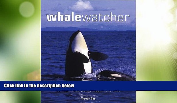 Big Sales Whale Watcher: A Global Guide to Watching Whales, Dolphins, and Porpoises in the Wild
