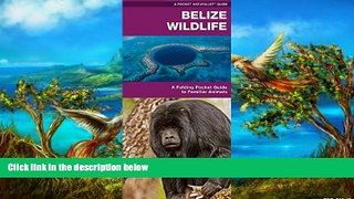 Big Deals  Belize Wildlife: An Introduction to Familiar Species (Pocket Naturalist Guide Series)