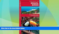 Deals in Books  Brazil Birds (Pocket Naturalist Guide)  Premium Ebooks Best Seller in USA