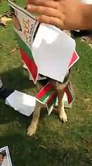 Altaf Hussian Par Lannat Bhej Kar Share Karain