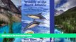 Must Have  Wildlife of the North Atlantic: A Cruising Guide (Bradt Travel Guide Wildlife of the