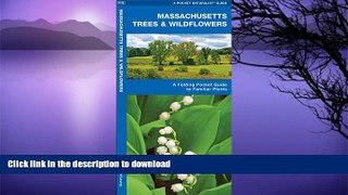 READ BOOK  Massachusetts Trees   Wildflowers: A Folding Pocket Guide to Familiar Species (Pocket