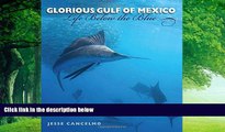 Best Buy PDF  Glorious Gulf of Mexico: Life Below the Blue (Gulf Coast Books, sponsored by Texas