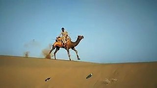Amazing Camel race in slow motion