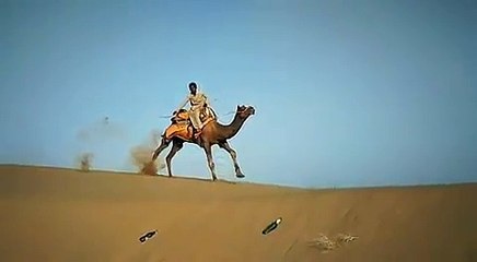 Amazing Camel race in slow motion