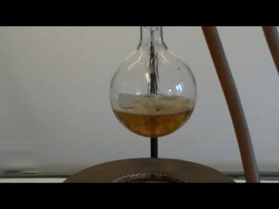 sapinification