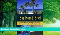 Best Buy Deals  Big Island Brief : Quickly Master What You Need to See and Do on Hawaii s Big