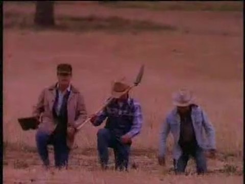 Rod Stewart - Forever Young