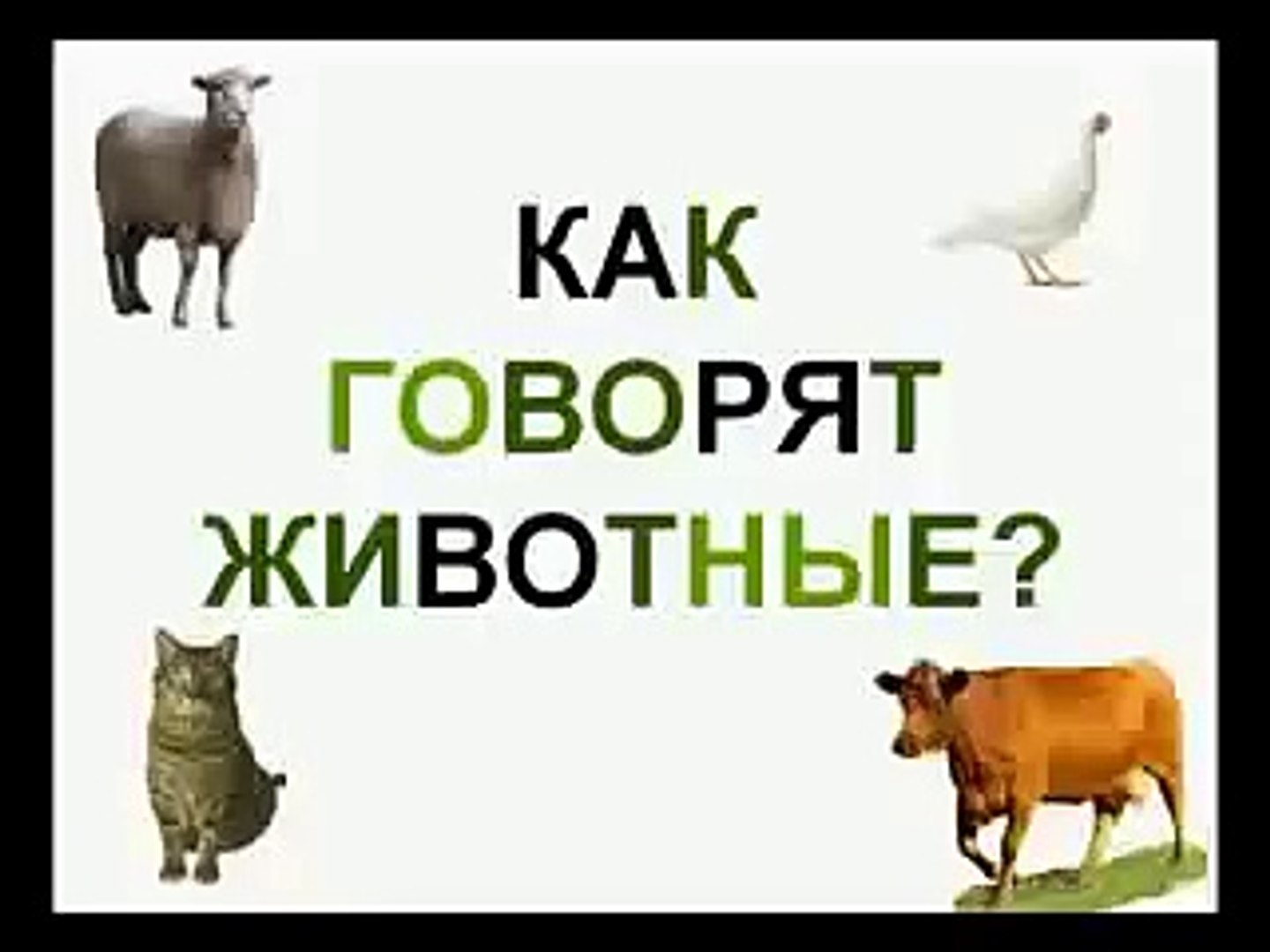 как говорят Животные 1