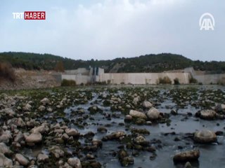 Kuruyan Behramkale Göleti'nde balıklar telef oldu