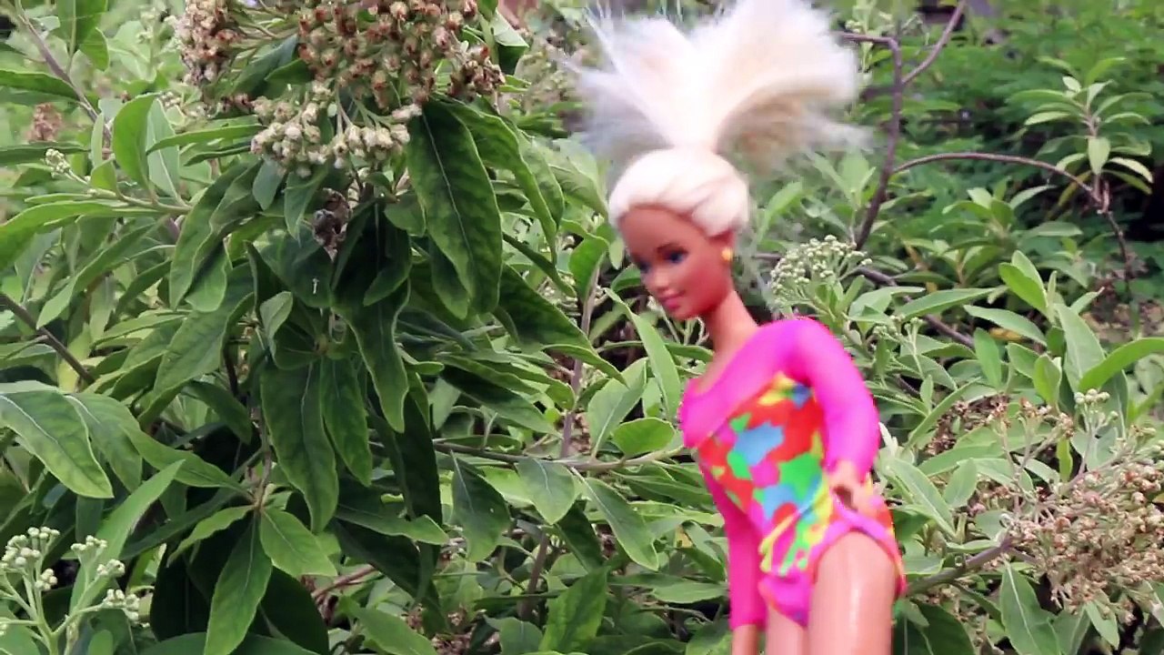 Barbie SPIDER ATTACK!!!!! Barbie Doll Hawaiian Vacation by DisneyCarToys Beach Video