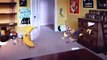 Cartoon Network - Banana Song