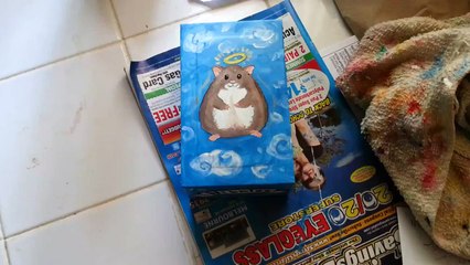 Coffin for my friends pet hamsters