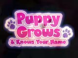 Puppy Grows & Knows Your Name