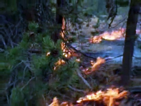 This is what happened to Cartoon Network