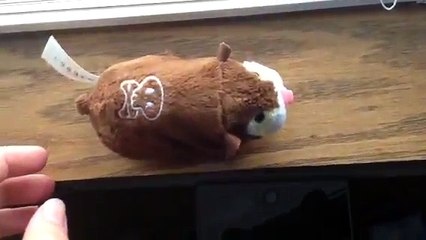 Zhu Zhu Pets Review On Capt. Zhu