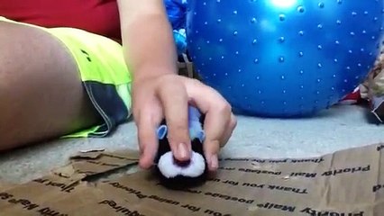 Zhu Zhu Pets Review On Tater Tot