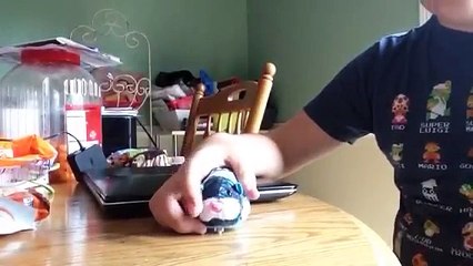 Zhu Zhu Pets Review On Titan