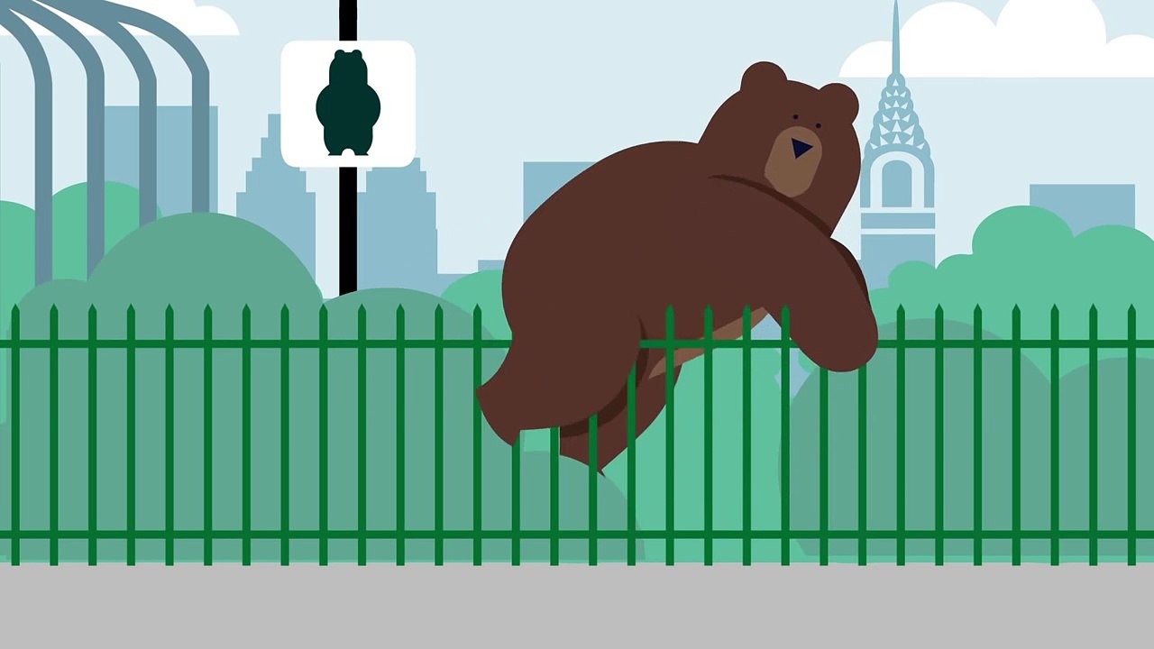 Oscar Health Insurance- Grizzly Bear